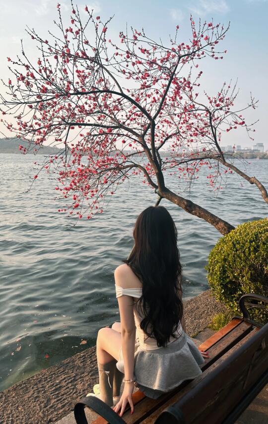 春光无限好