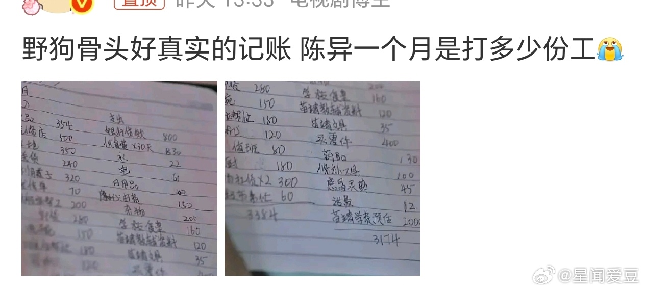 野狗骨头里的记账好真实两本账本藏着双向的心意，陈异把苗靖的学费重点标注，拼命打工