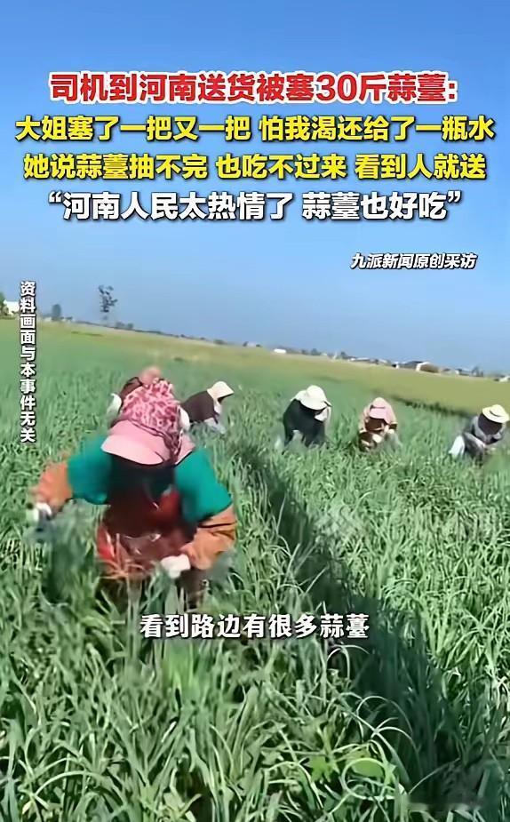 “笑不活了！”5月1日报道，河南，一司机去送货，他见地里面的蒜薹长势喜人，就去拽