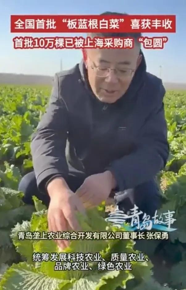 这是属于“一个愿打，一个愿挨”，普通人也不会去买155元一颗的白菜，愿意消费的人