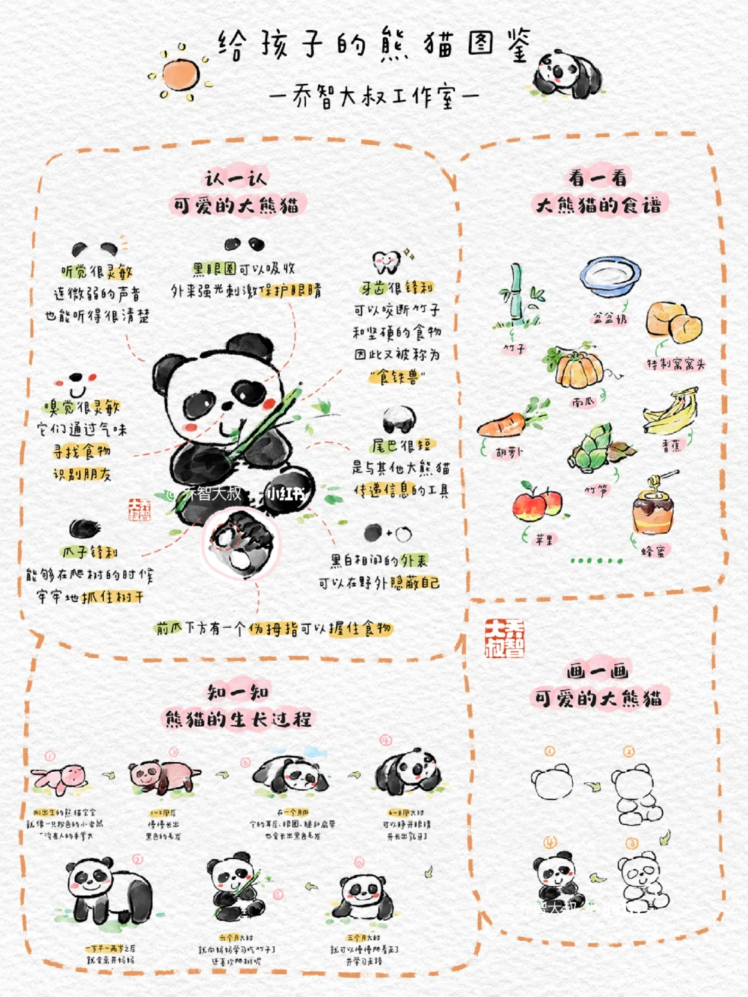 给孩子们的熊猫图鉴🐼🐼🐼