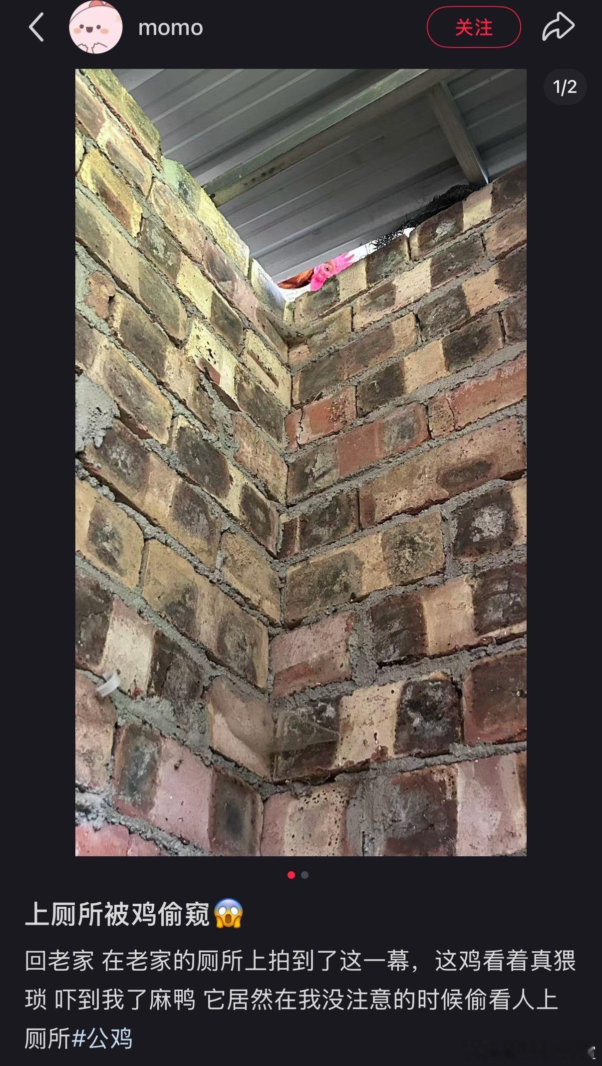 最强安保系统 