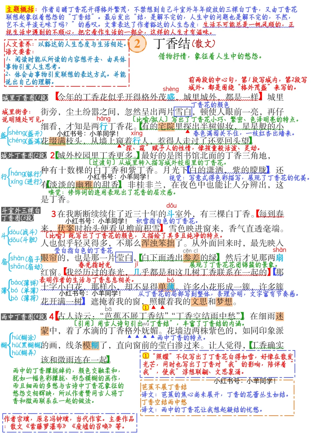 六年级上册🌻第2课《丁香结》预习笔记
