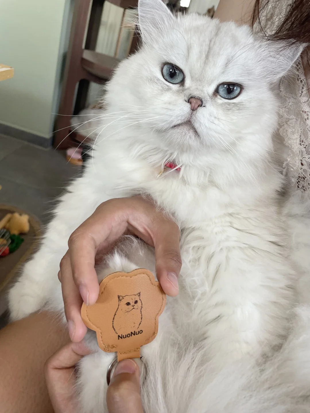 是谁拥有了专属爪爪钥匙扣