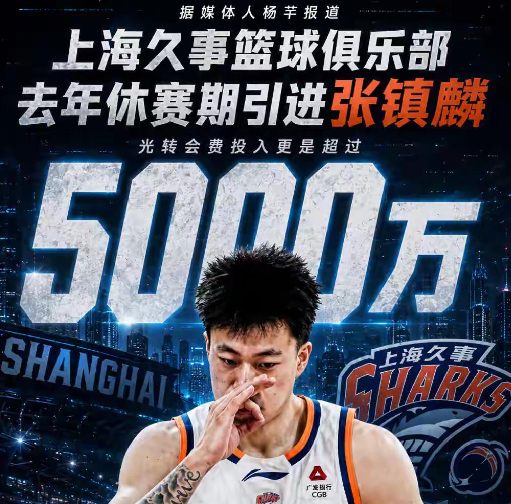 张镇麟无疑是上海队除了古德温以外最让人眼前一亮的球员，他不是外援，但却拥有外援的