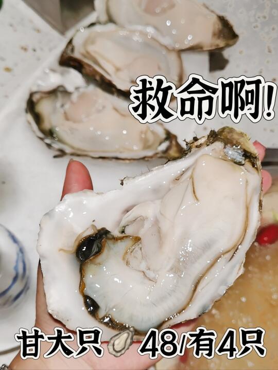 48元吃手掌大的生蚝！珠海你是想让我上瘾！