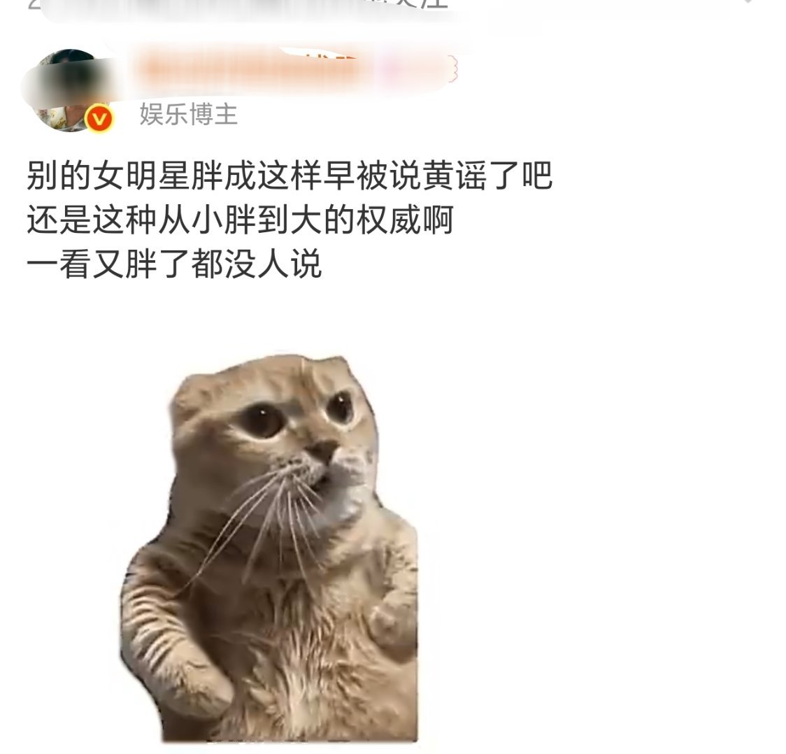 哈哈哈还真无人怀疑过怀了，这就是一直胖积攒的口碑吧