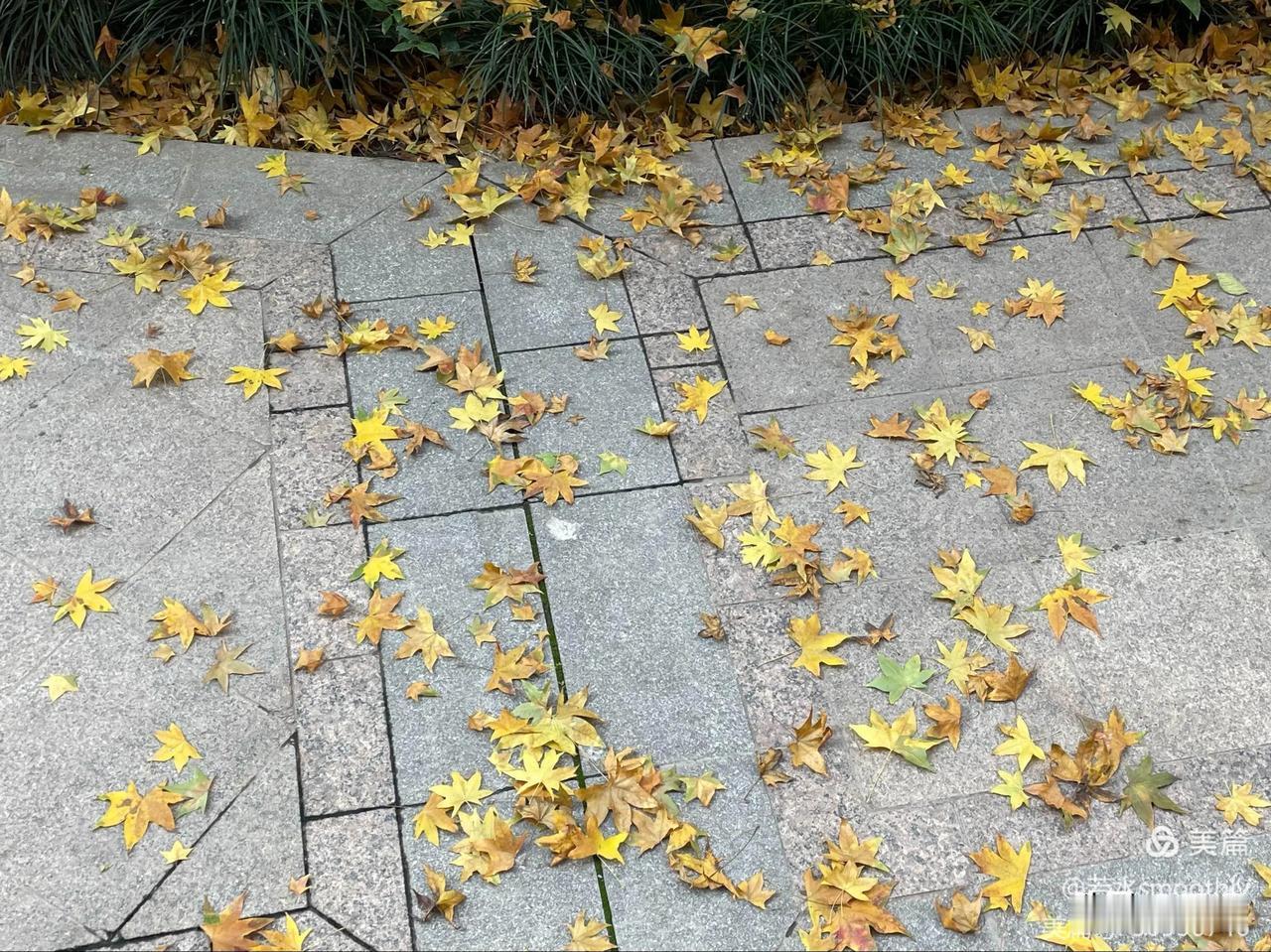 【阮郎归•花开叶落去匆匆】
花开叶落去匆匆，秋分秋色浓。
长安灯火映星空，大街小