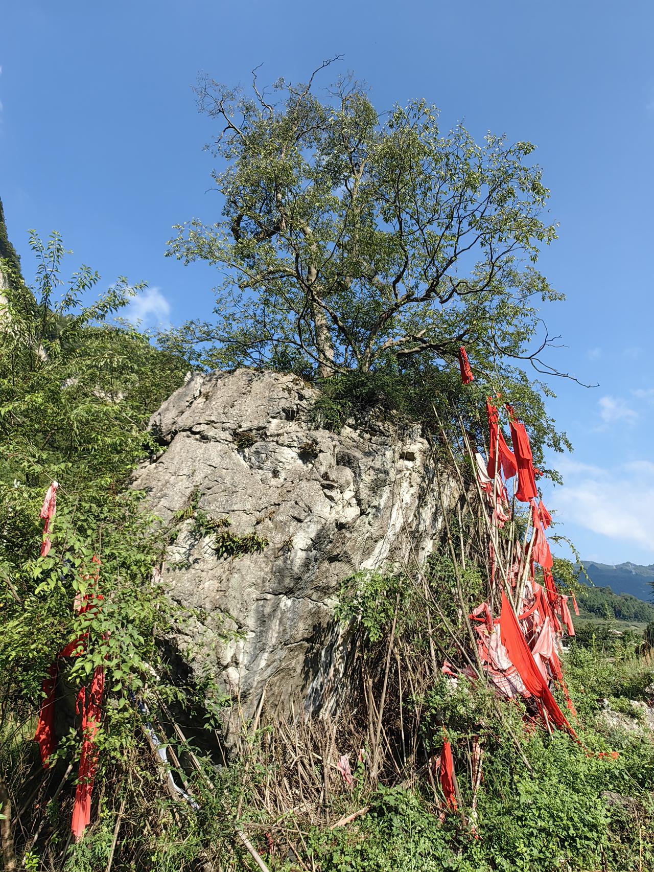 正确[赞]。如中签，上市第一天无论如何都要卖出去[大笑][大笑][大笑][大笑]
