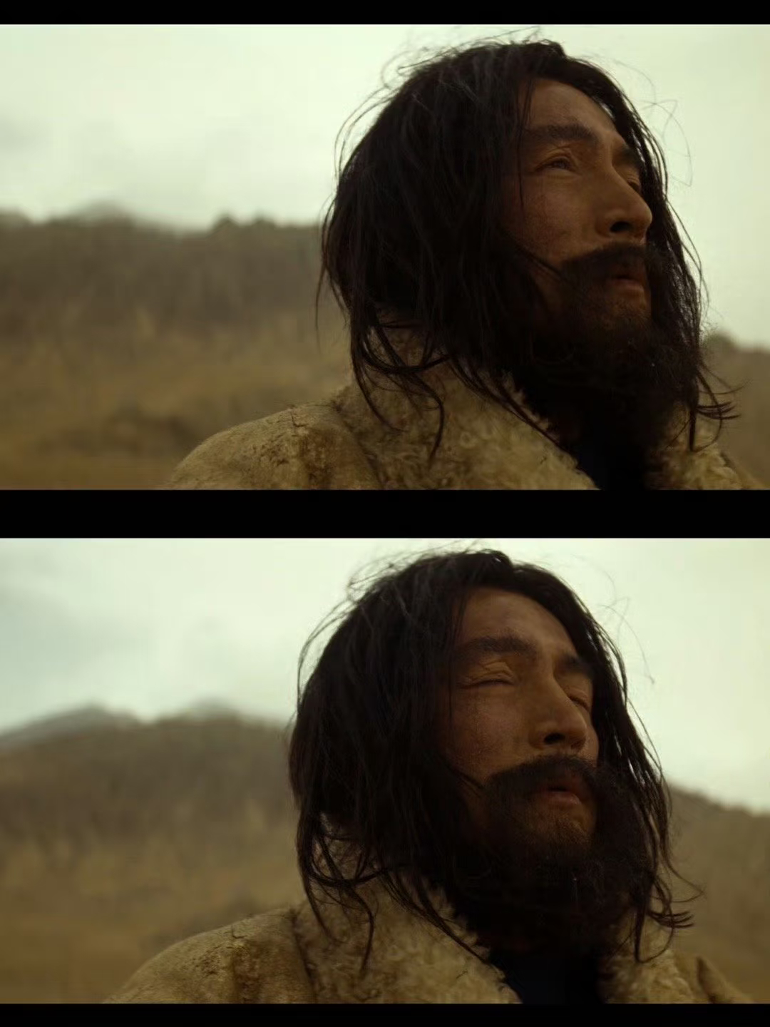 云合 胡歌这脸是真的抗造生命树