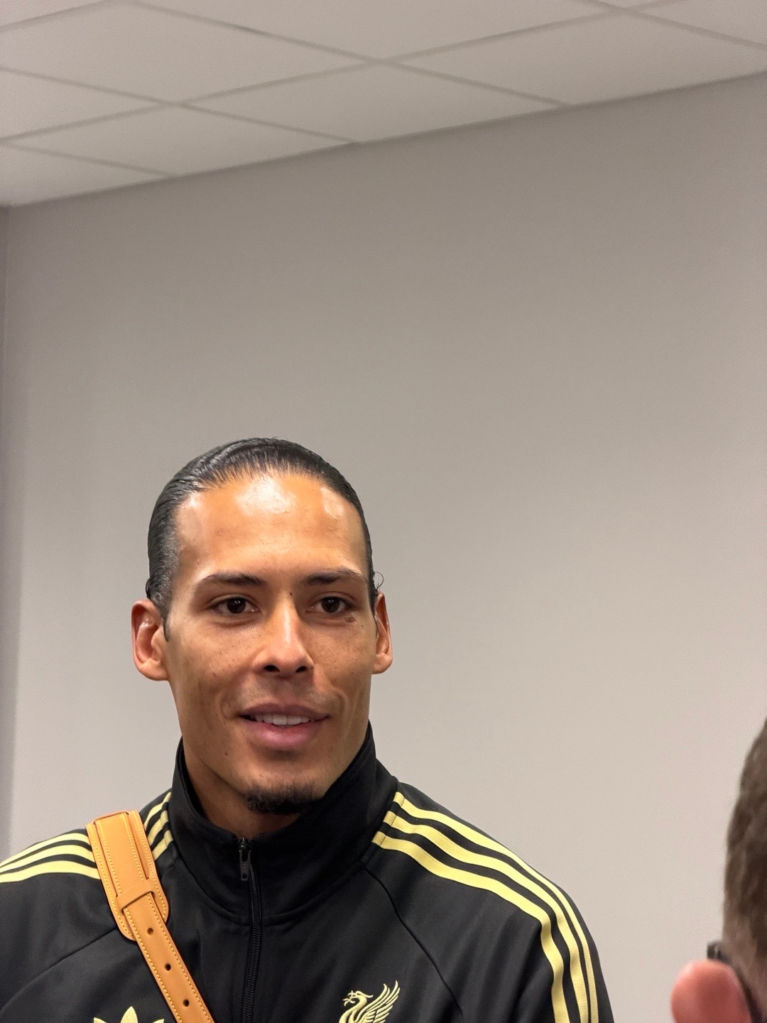 来看一点范戴克 