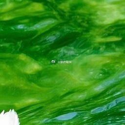 心中不可少善，行事不可无善。人前不为恶易，独处不为恶难。任性妄为是恶，行止有度是
