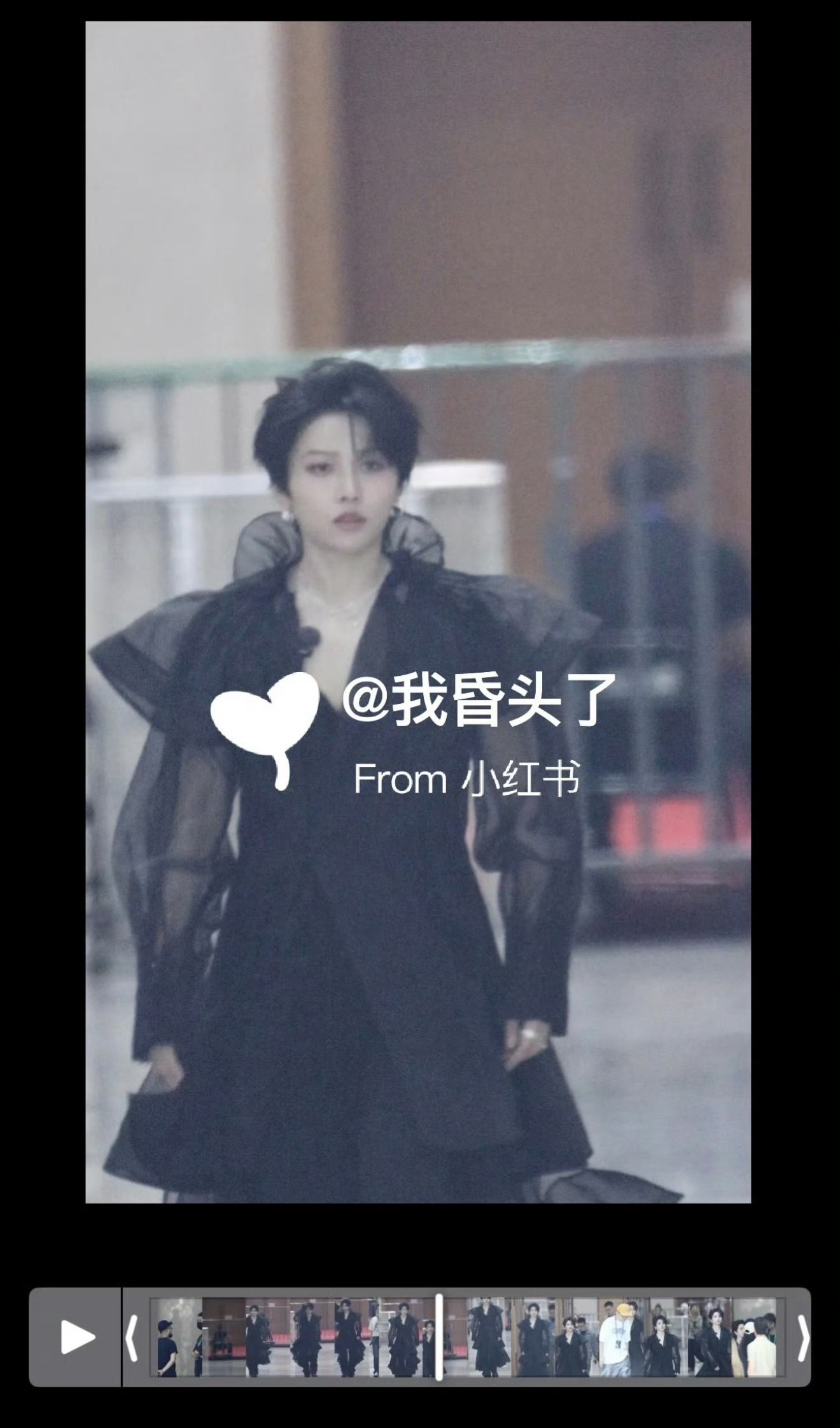 柴柴我们爱你 