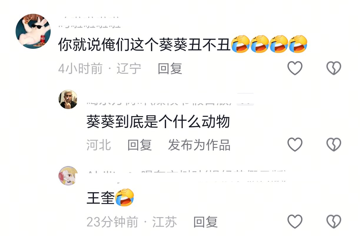 给我笑成神经病了，葵/葵竟然是王总oc（经过热心群众解答得知奎奎是海豹🦭） 
