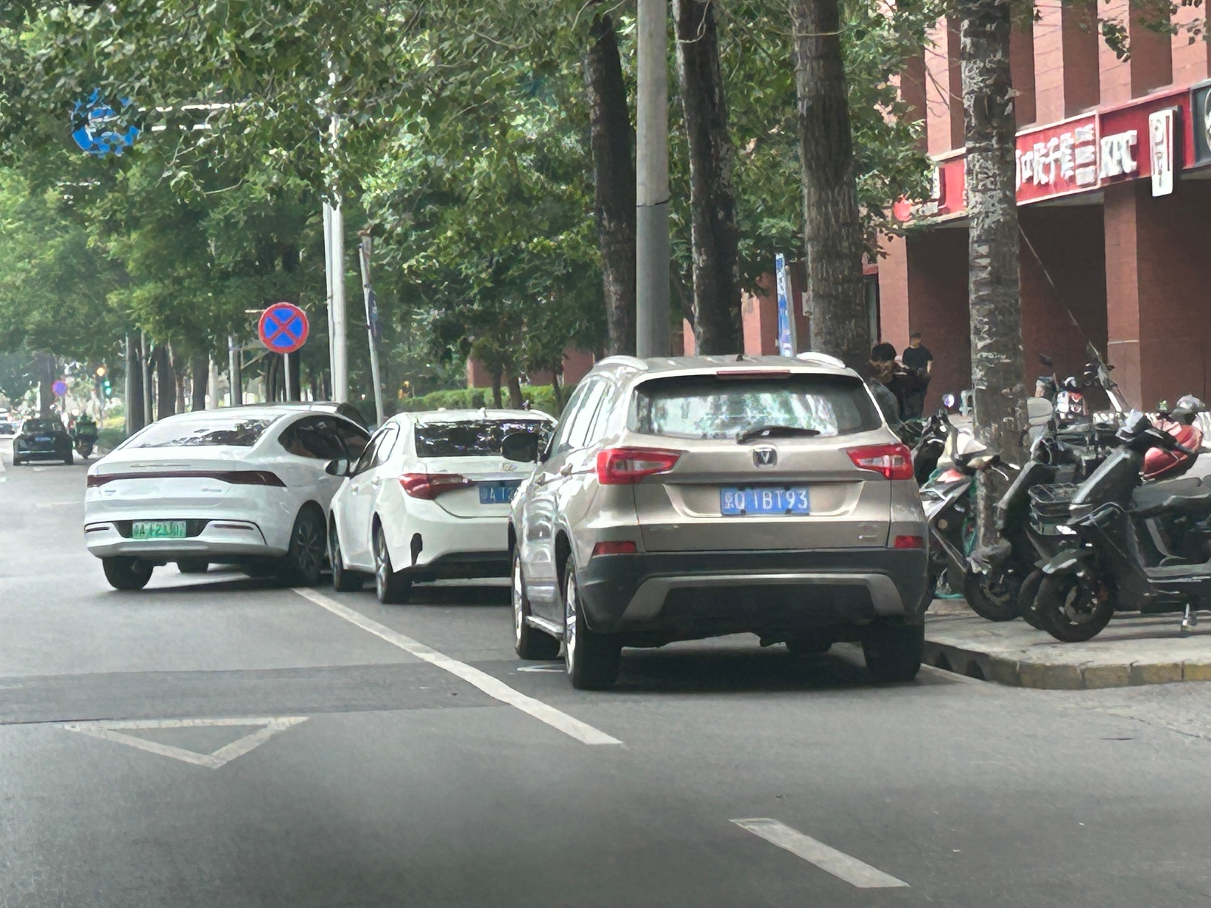 北京市海淀区马连洼北路南侧，违章停车问题严重，希望相关部门进行处理 北京·柳浪家
