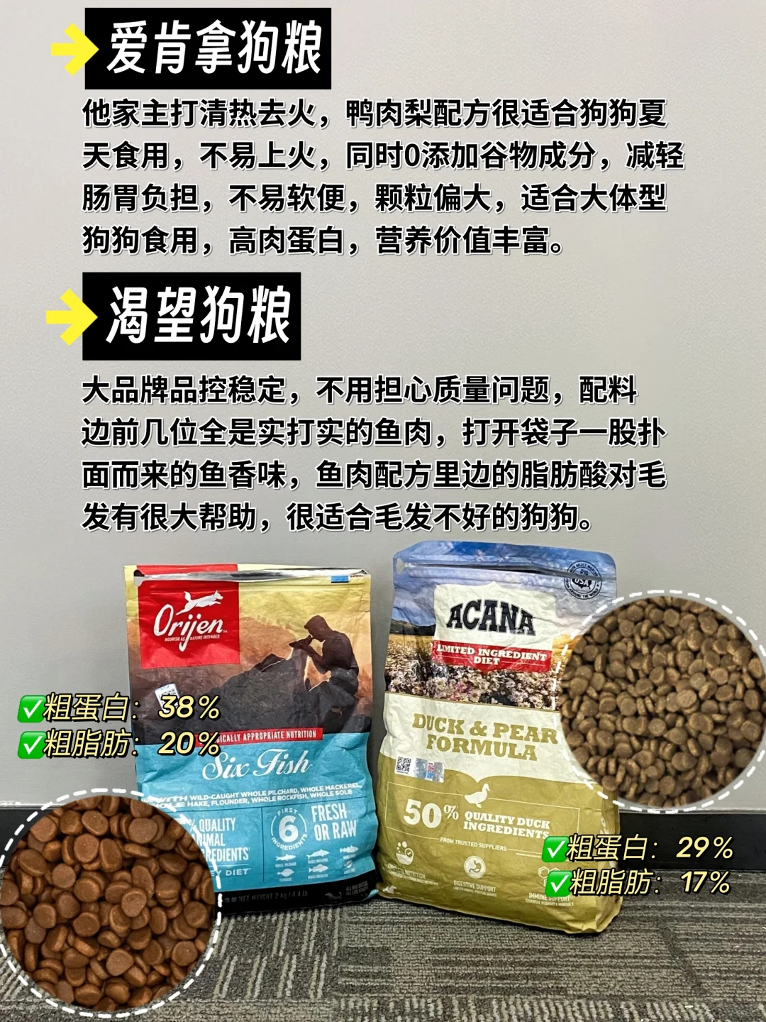 新手养狗进来避雷! 这些网红狗粮千万别碰!