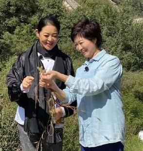 倪萍，三千字长文送别敬一丹！

9月17日，倪萍写了一篇三千多字的长文送别好久敬