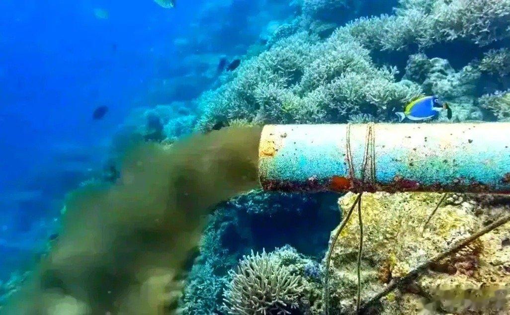 日本福岛开始向大海排废水了，这不是闹着玩的！据说要在6月末前完成排放，57天内整