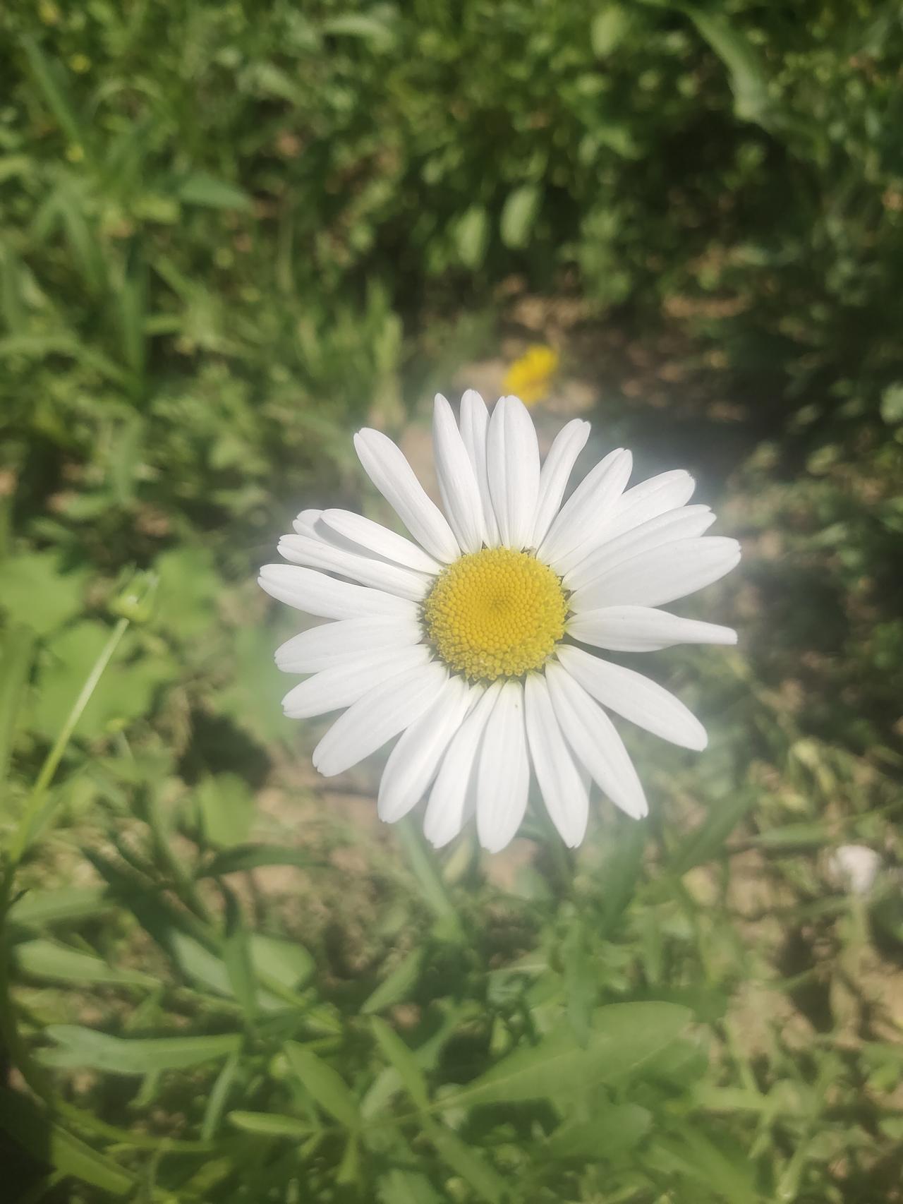 我认为不会