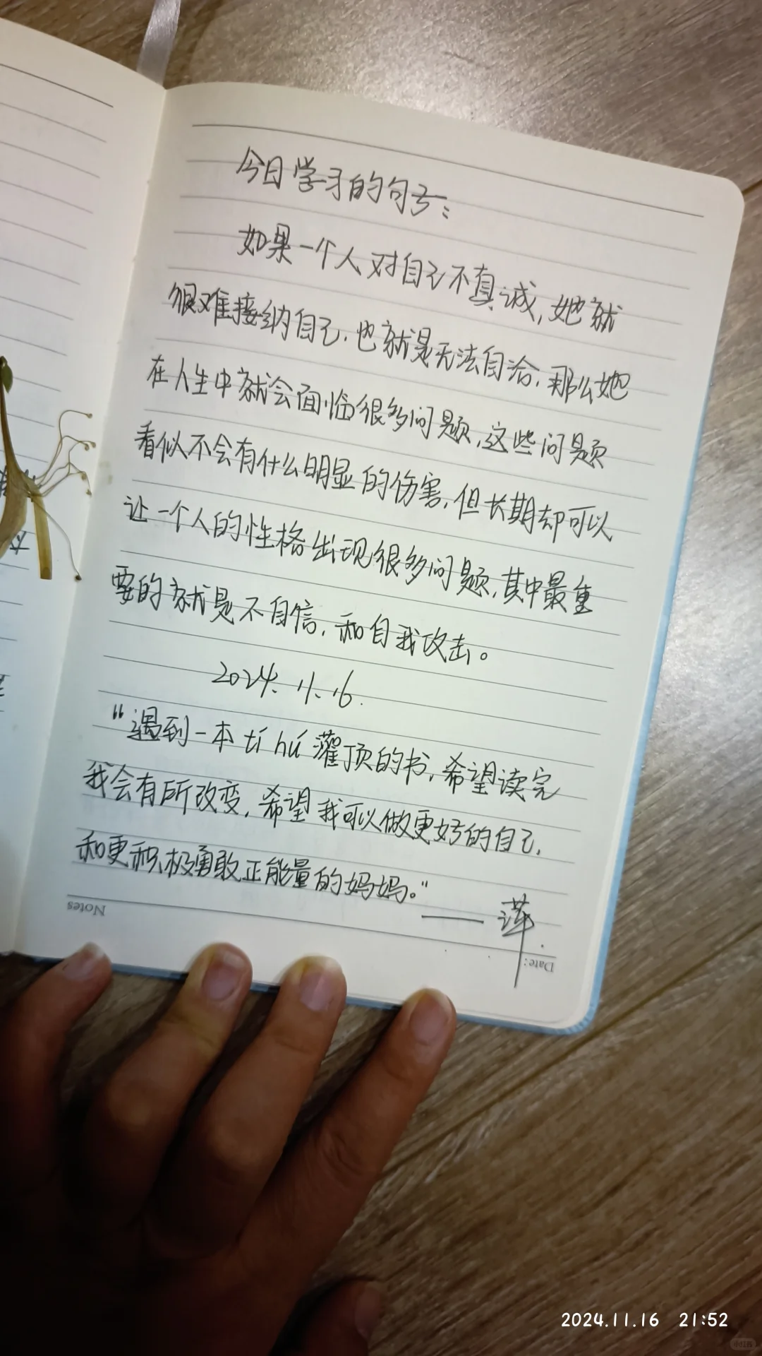 今日份的简单充足