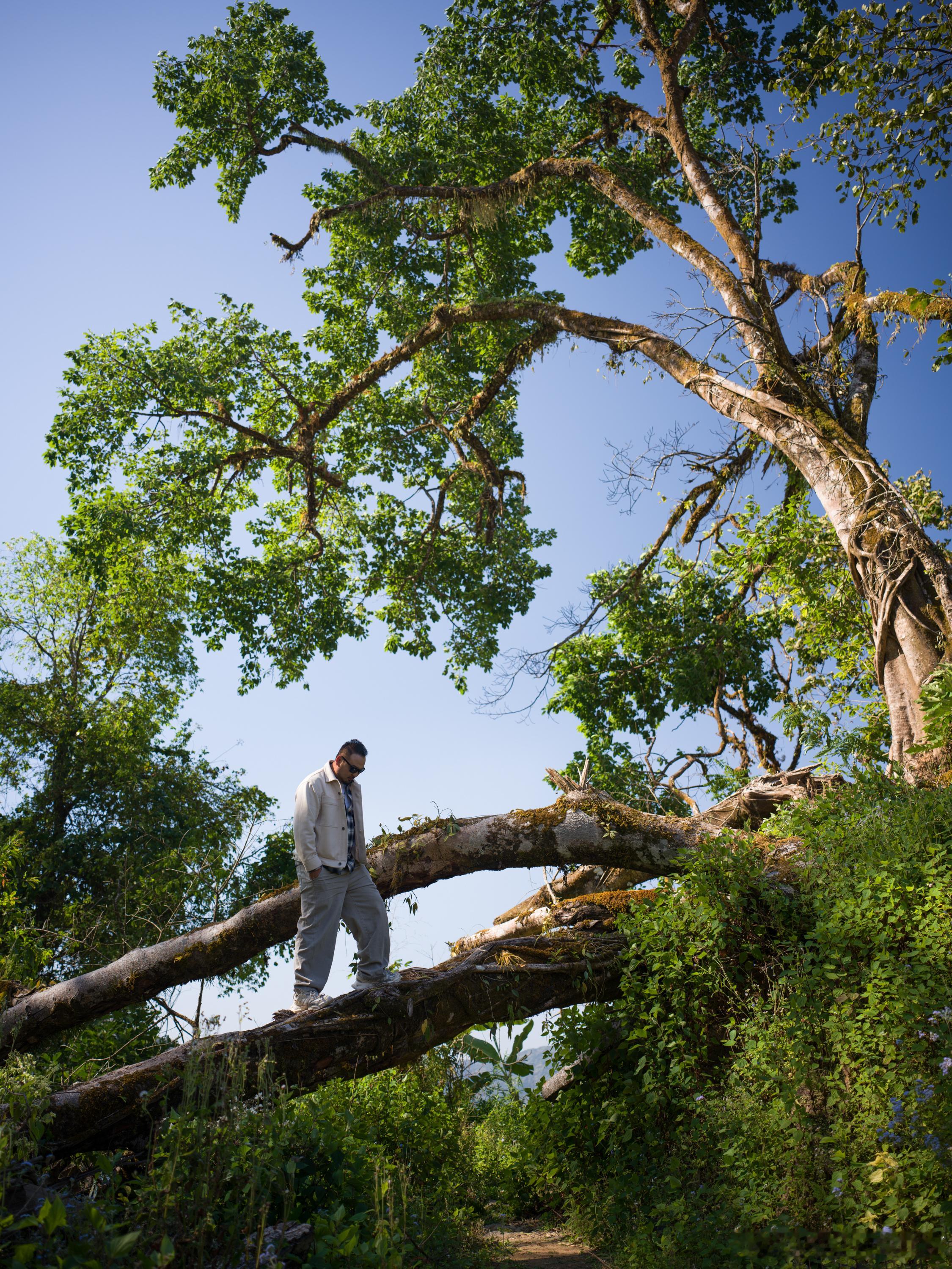 从西双版纳自驾到瑞丽，这条线路多少人向往，包括我，念叨了很多遍，如今和我们理想旅