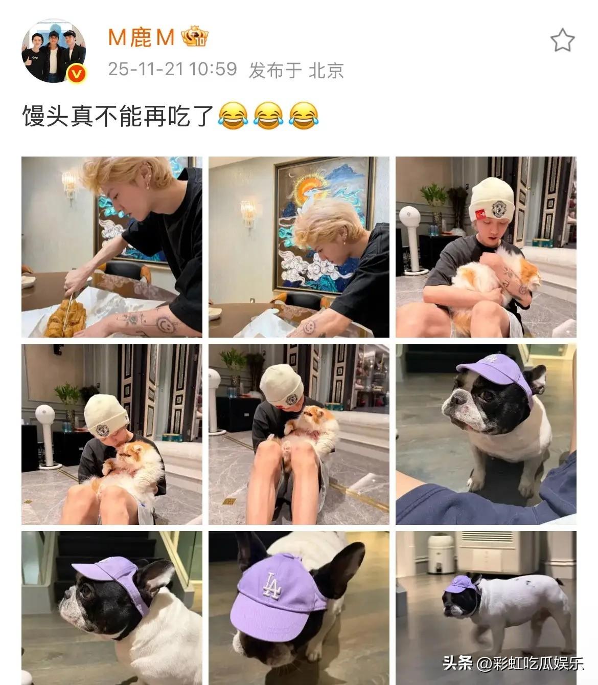 苍蝇不叮无缝蛋，如果鹿晗司晓迪没有关系，为什么司晓迪发的图片和鹿晗家里一模一样，