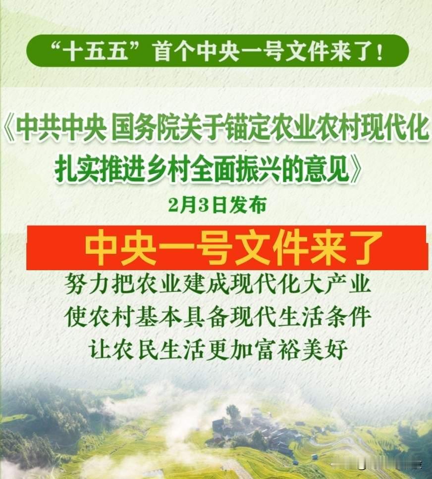 锚定农业农村现代化 绘就乡村全面振兴新图景——中央一号文件重点解读
 
2026