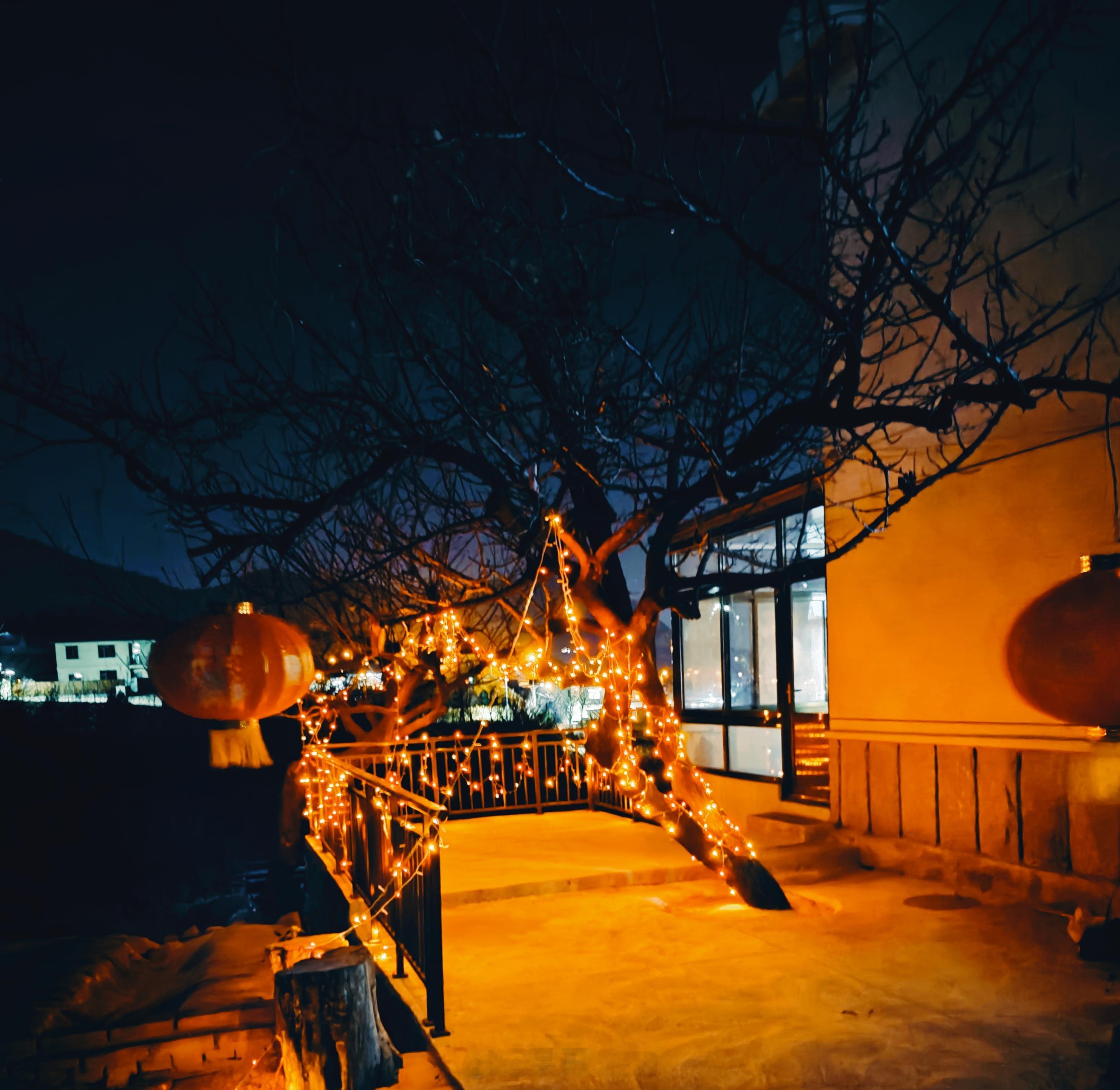 大家小年儿快乐！祝大家身体健康，天天开心！不得不说我爸买的灯笼确实好看，有品。今