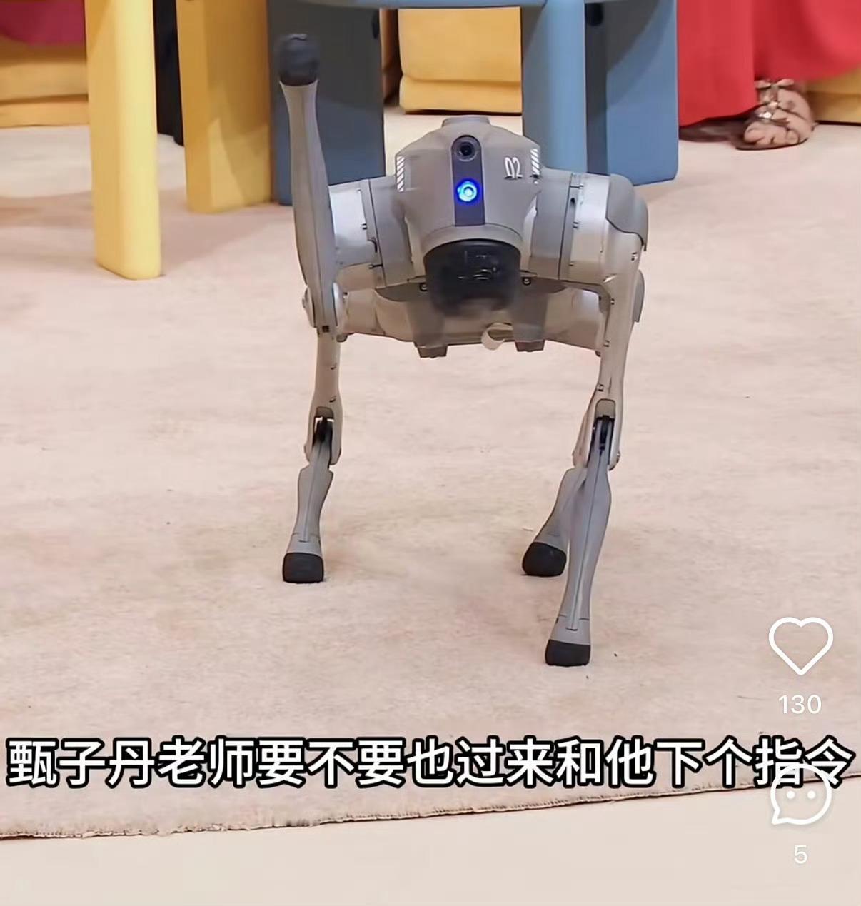 笨笨是你吗？上次见面还是小狗狗，这次已经是军犬了！军盲时刻 ​​​