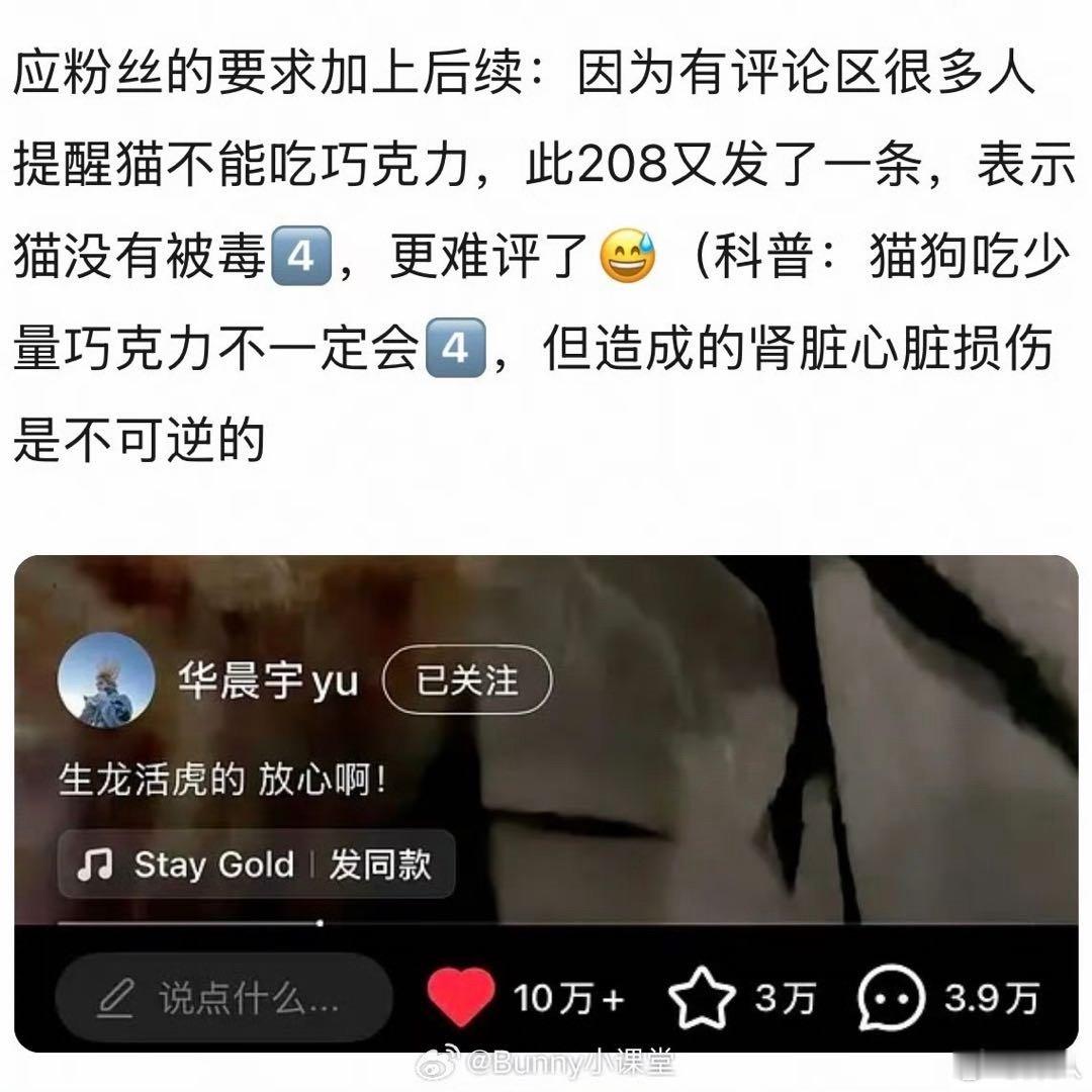 华晨宇又发了一条视频证明猫没事华晨宇发视频证明猫没事 华晨宇又发了一条视频证明猫