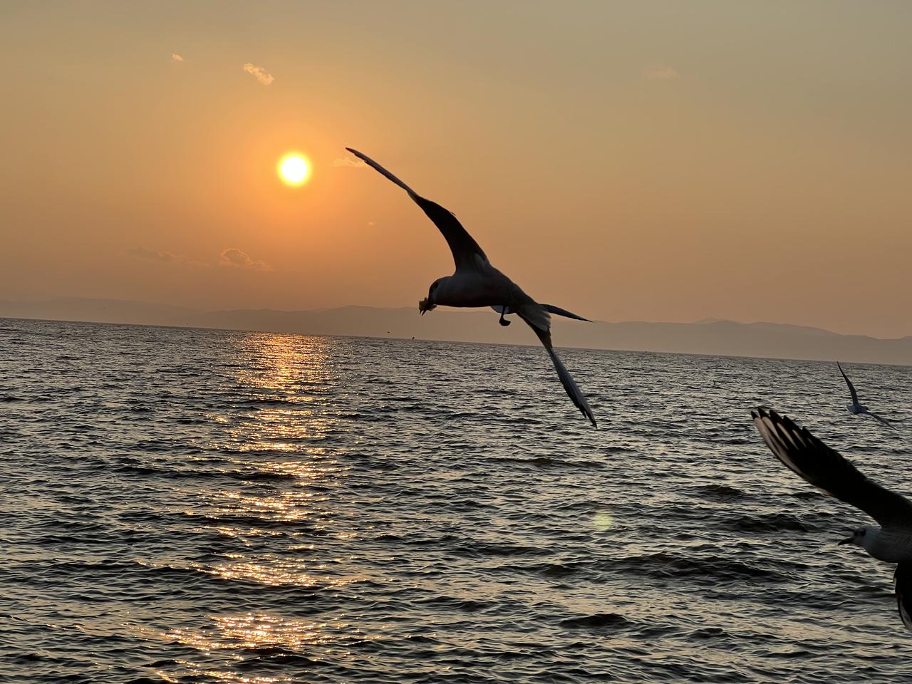 这次必过万点！
一、很多人说估值太高，真是搞笑，物极必反，估值低是盈利差，盈利差