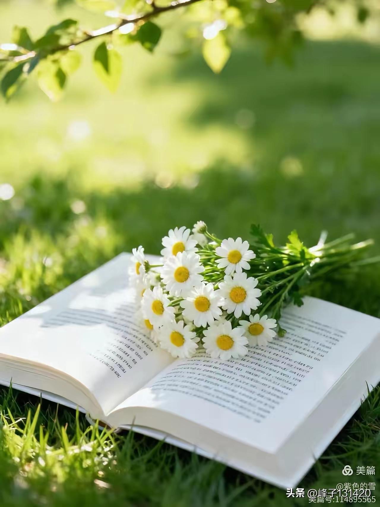 不上当、不受骗的妙招
 
1. 天上不会掉馅饼，掉下来的多是陷阱
凡事好得离谱，