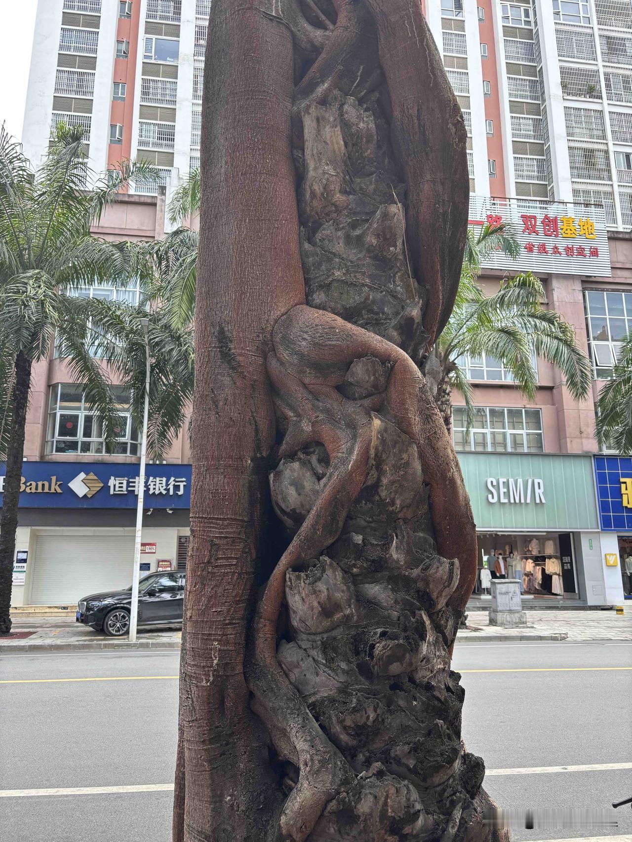 昨天又打开了一个新的惊喜之门，我们的医保卡真是一个万能卡，走到哪儿都好使。

最