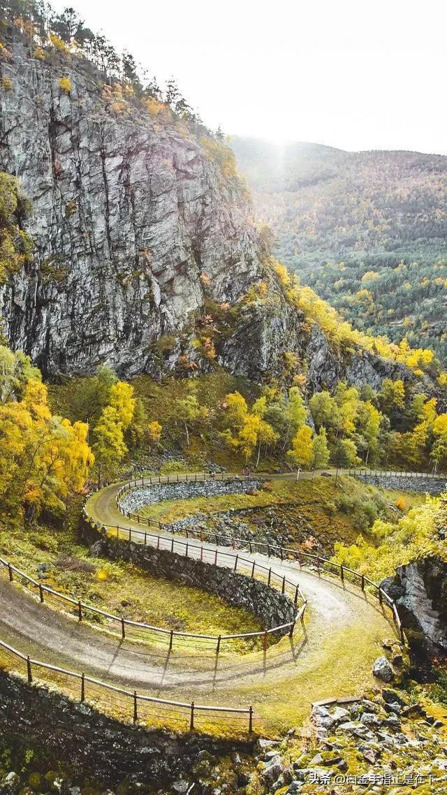 #碧草青青花正艳，请对下联。#
碧草青青花正艳
落木萧萧秋意浓