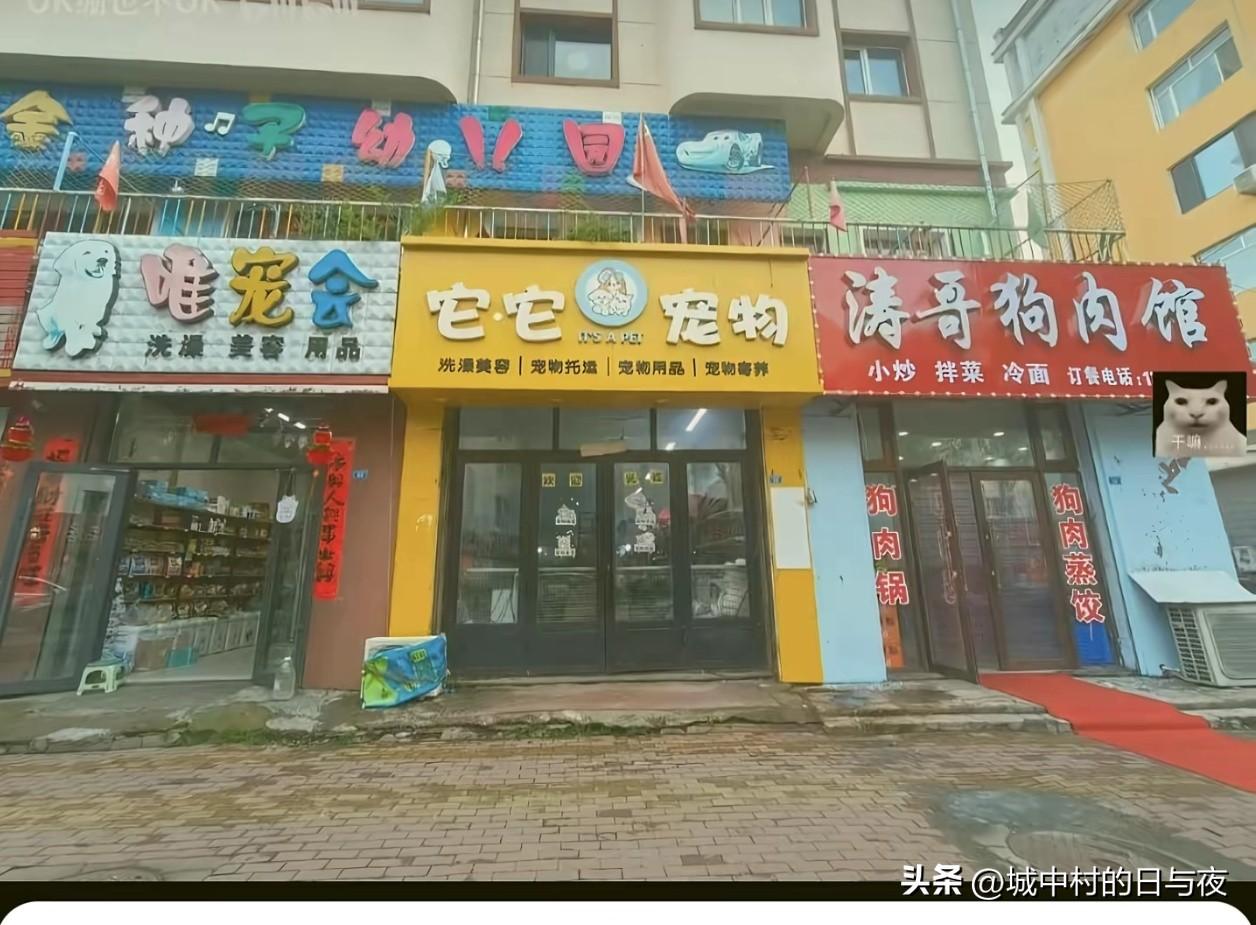 [赞]能做邻居也是厉害