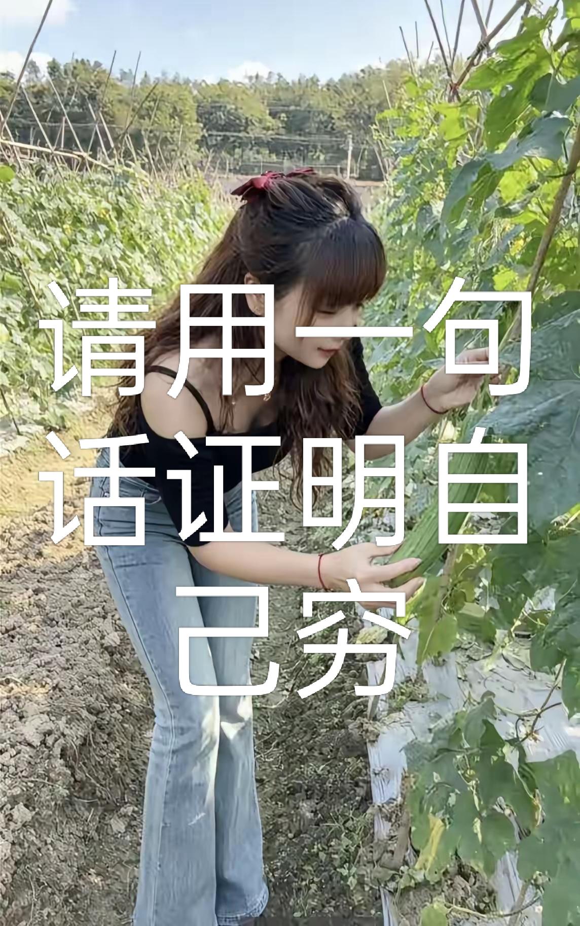 请用一句话证明自己穷，
我先来:身无分文