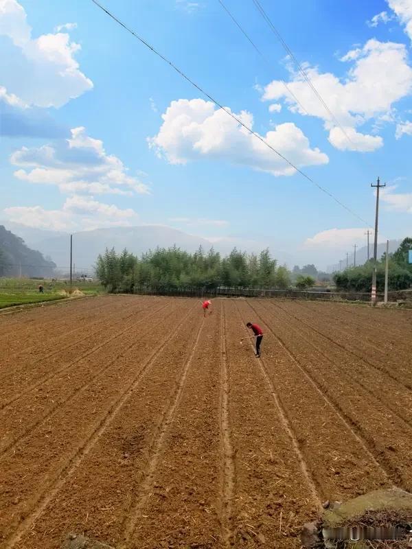 农民的生活真心不容易。就拿种粮食来说，春种时，得早早下地翻耕土地、播种，这期间得