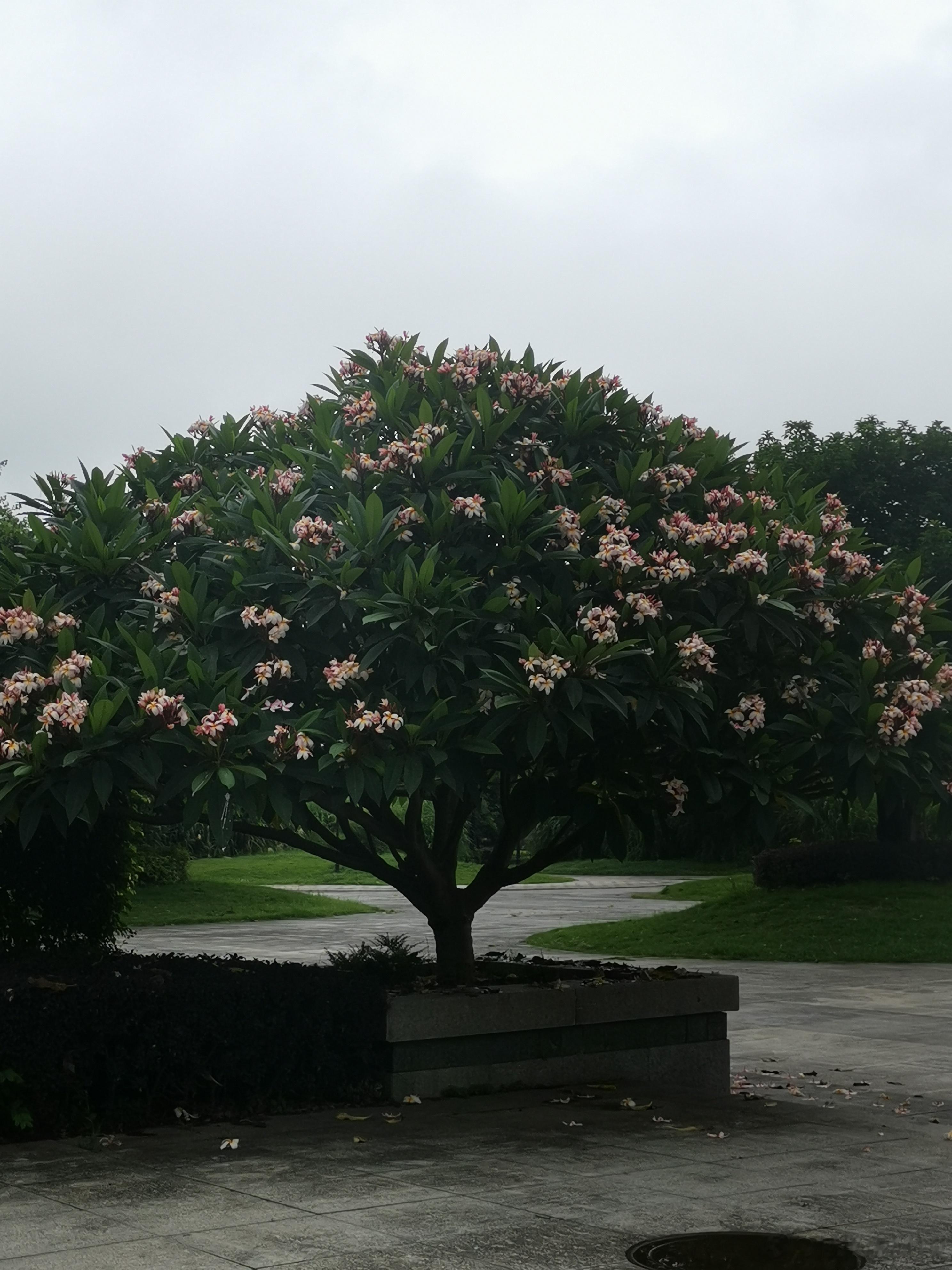 45岁以后，女性突然出现头痛，可能是这几个原因！1.紧张性头痛：这是最常见的头痛