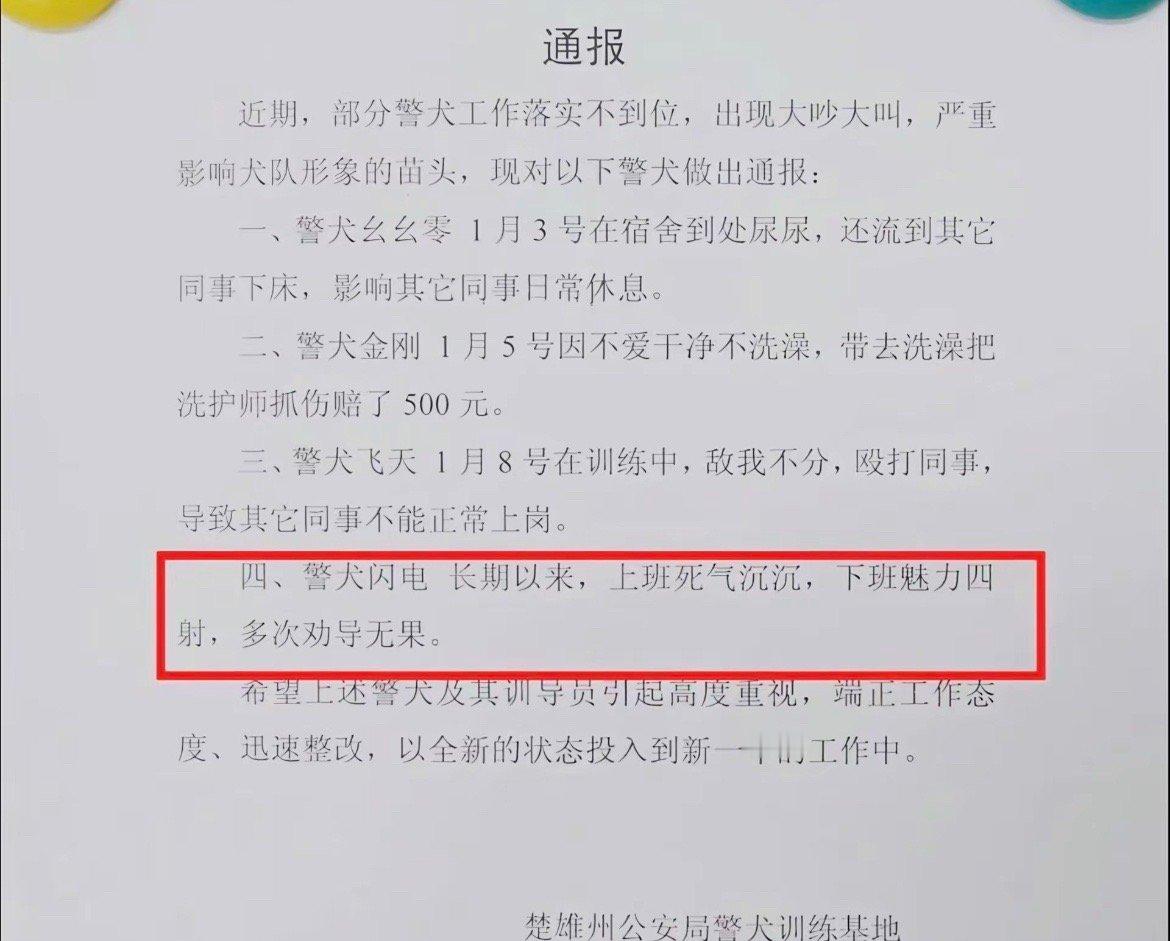 狗：不ins字 说给人看的 