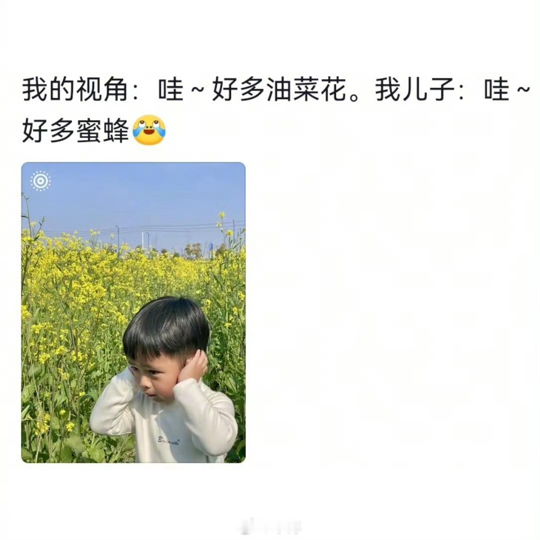 终于知道小孩出门为什么总要抱了总算弄懂小孩出门粘人要抱的真相，不是单纯懒，是他们