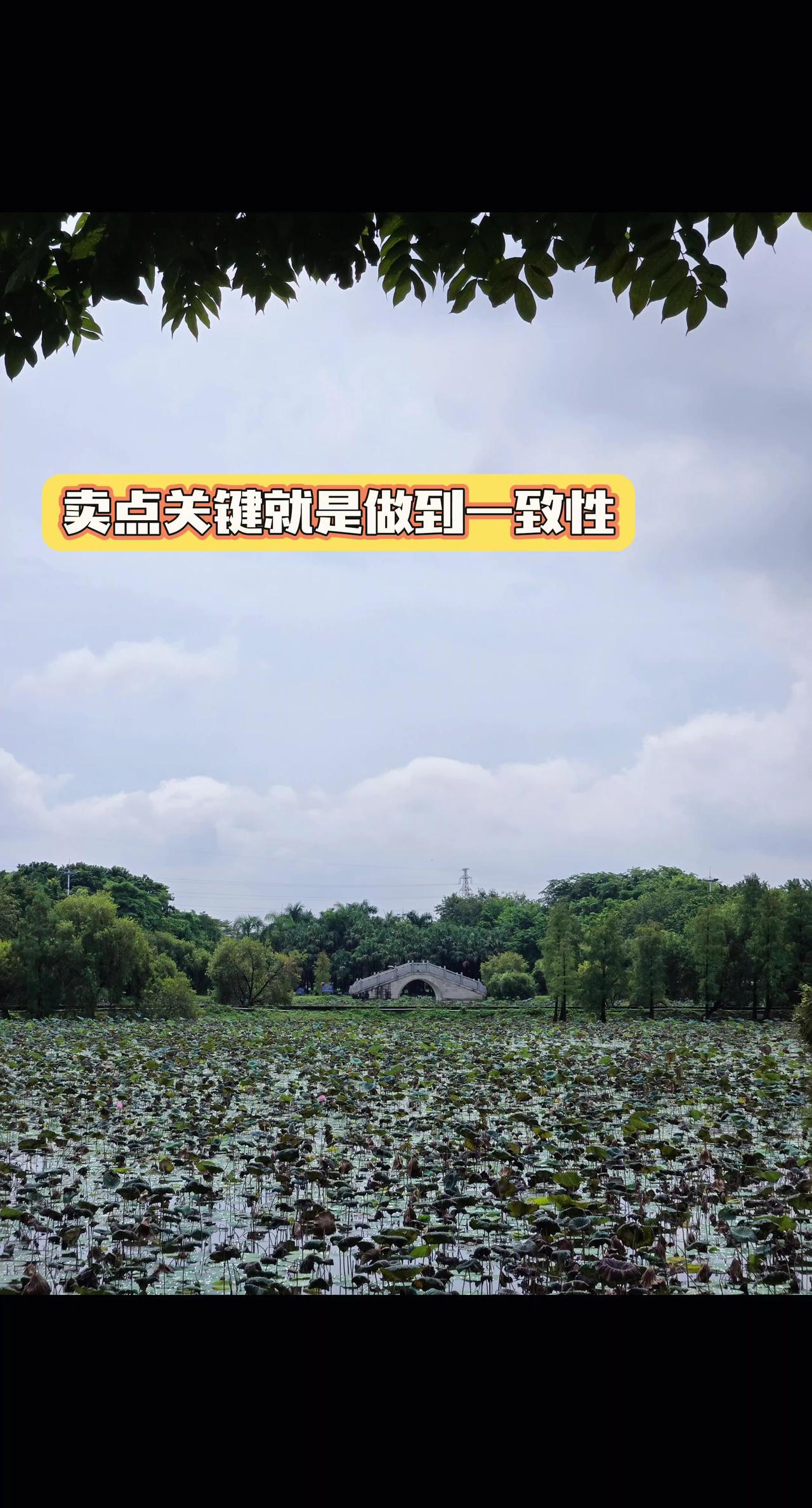 卖点 北京炒家