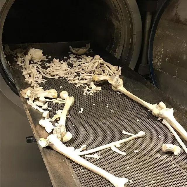 英国水煮遗体排入下水道或将合法化环保节能VS伦理冲击，水葬背后的价值博弈。英国推
