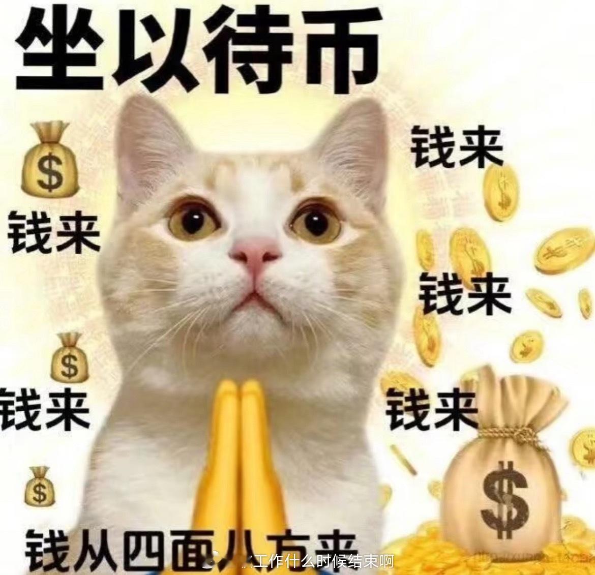 💰终于要看到工资了 ​​​