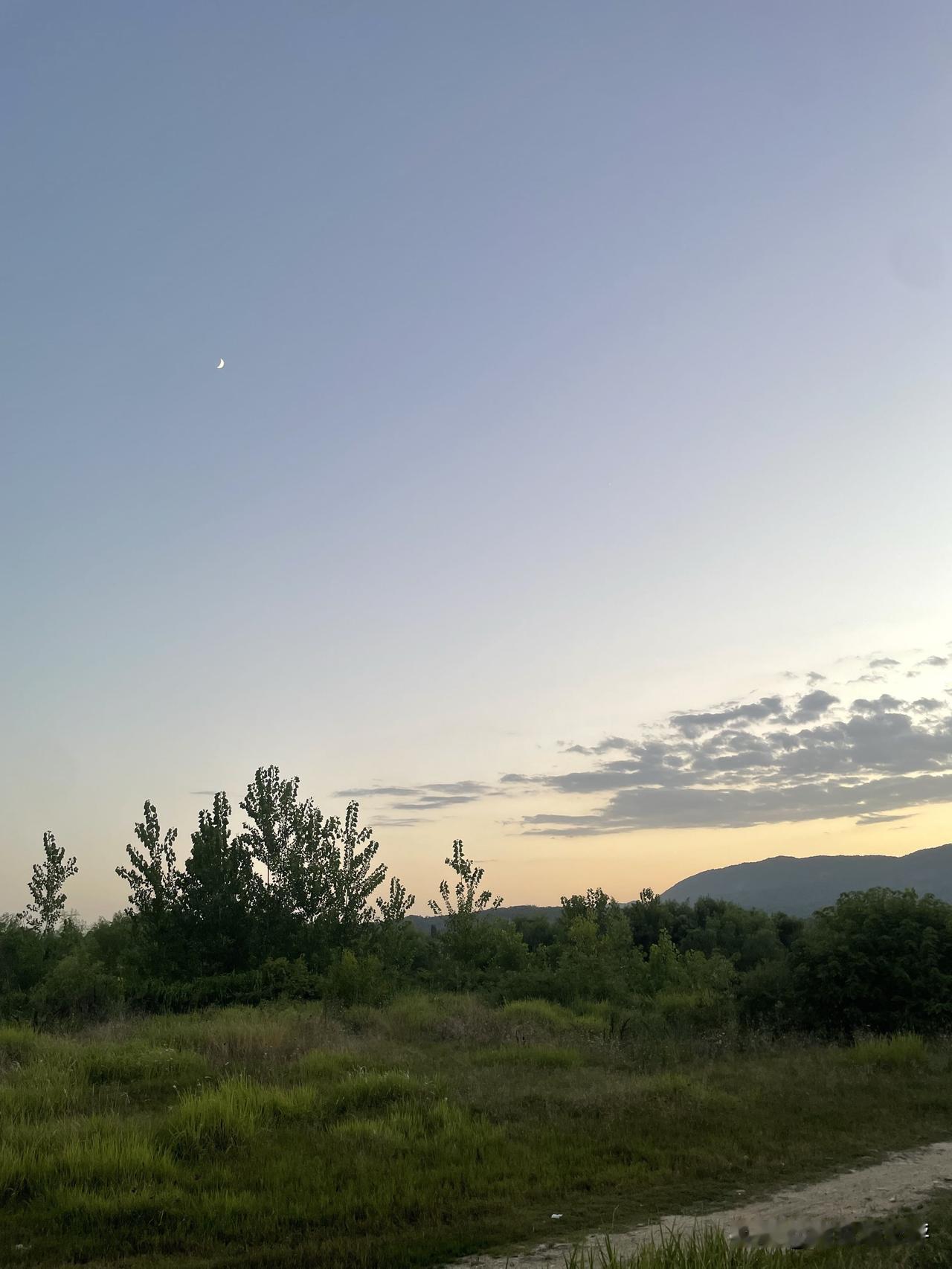 夏日晚霞确实美，随手一拍感觉都挺有效果的呢。
