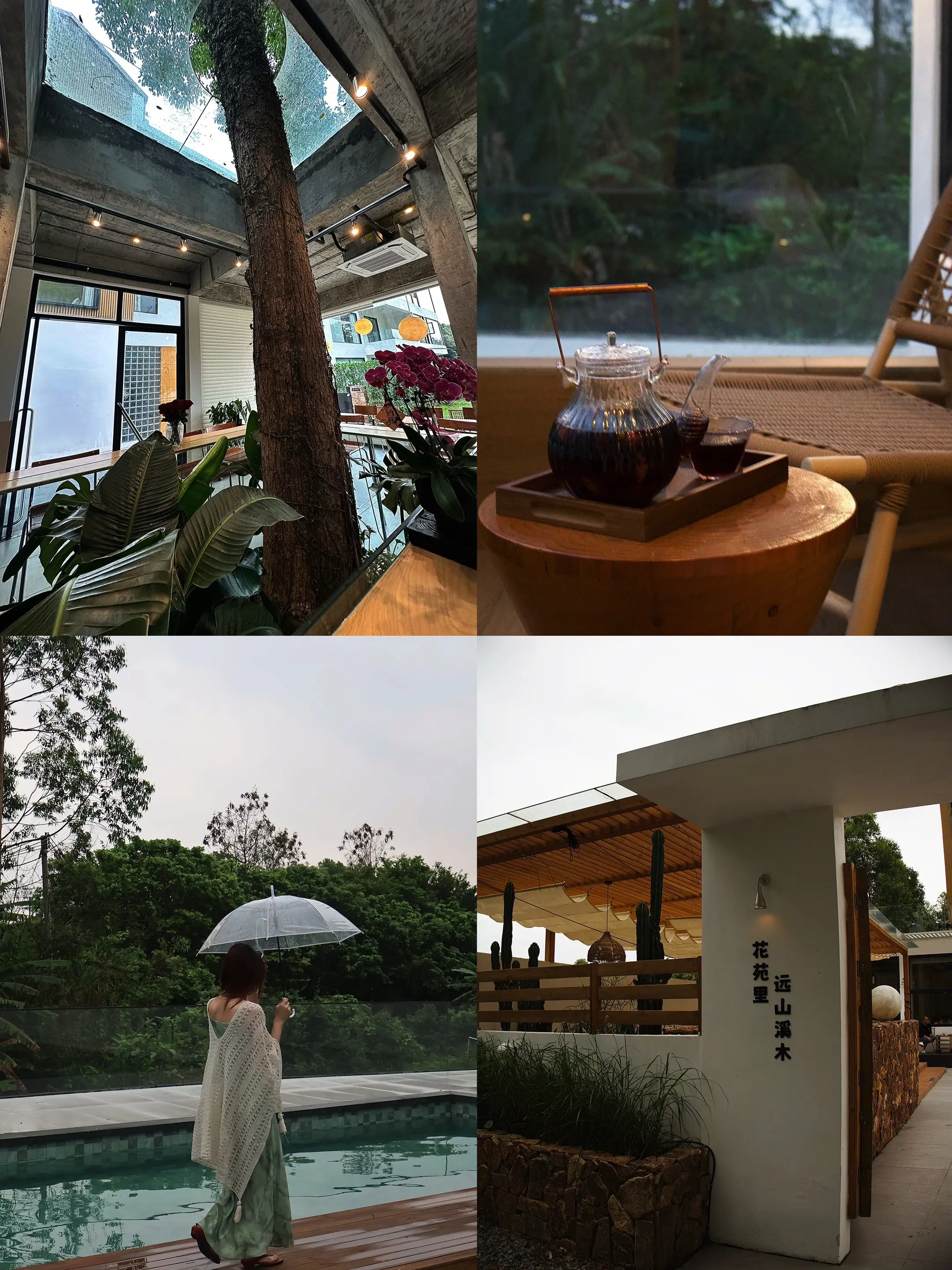 🏝️阴天也快乐  𖦹ࡇ𖦹
