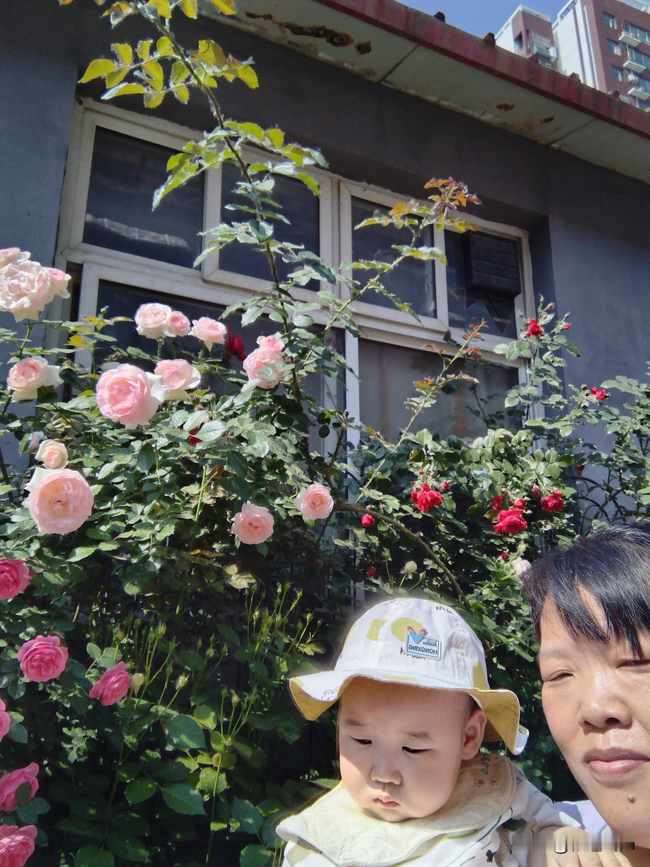 当奶奶都不想抱孙子，只想有个孙女，就足够了，那么还有谁想生男孩。我同学头胎生了个