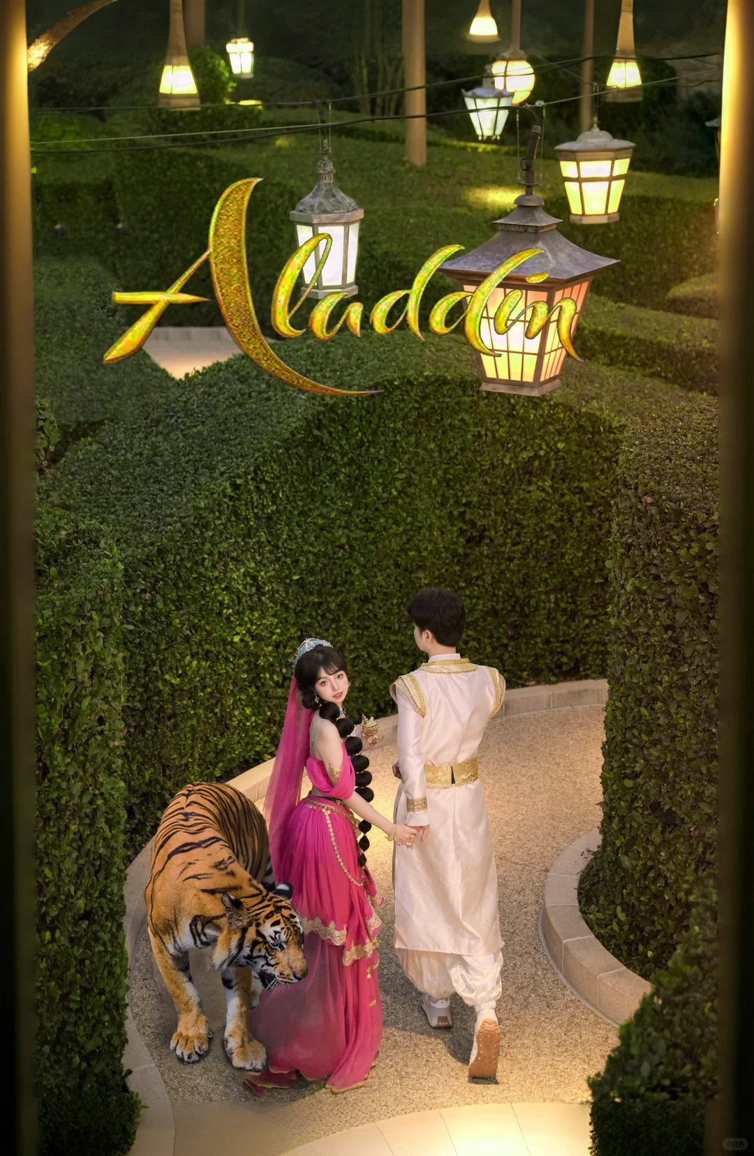 茉莉👑“重生之我在迪士尼养老虎。”