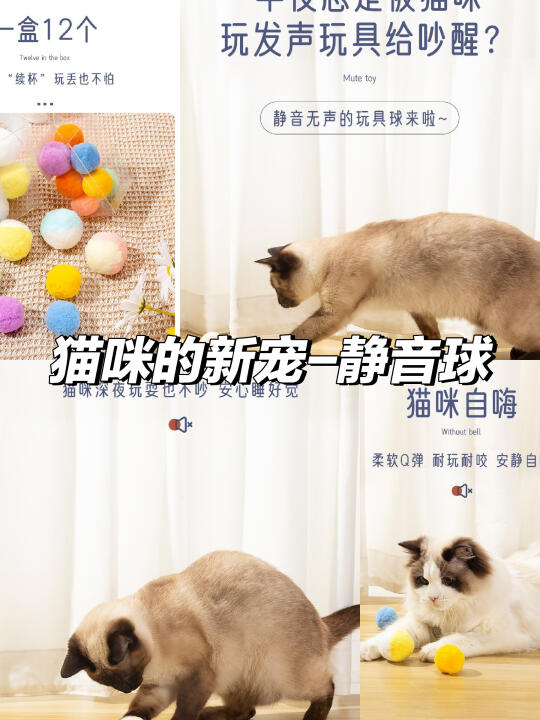 猫咪自嗨神器🎉静音球推荐