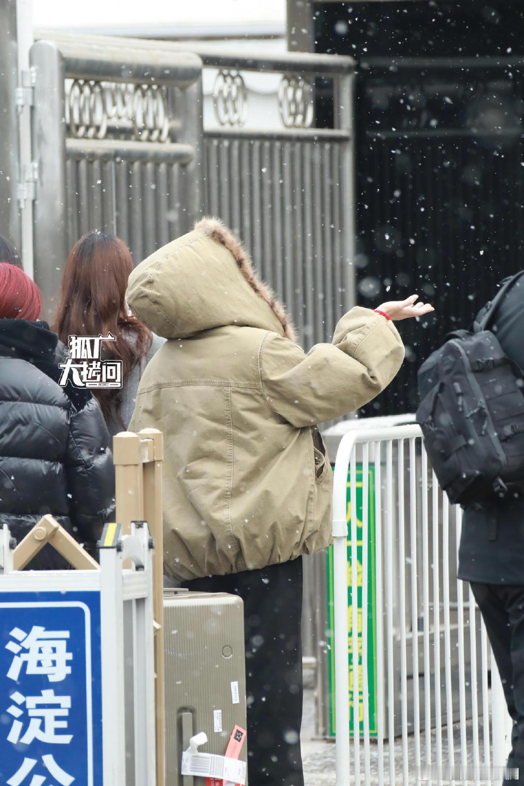 白鹿伸手接雪白鹿用手接雪 白鹿春晚联排，站在门口伸手接雪花，鲜活又真实 