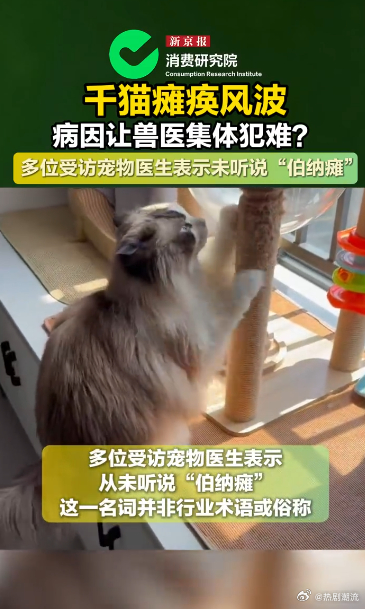 千猫瘫痪多地医院真相调查记者调查千猫瘫痪背后真相自家猫咪突然出现后肢发软的情况，